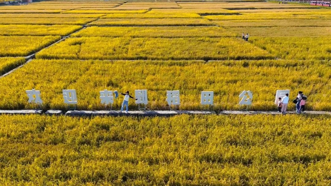 2024太原稻田公园景点介绍+门票价格+地址+游玩攻略